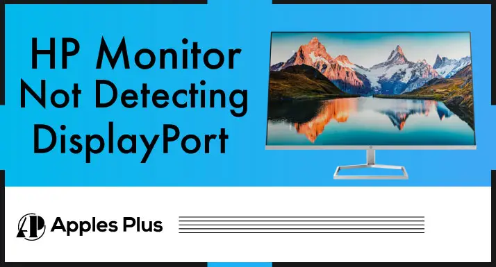 HP Monitor Not Detecting DisplayPort